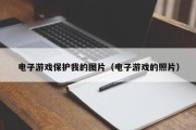 电子游戏保护我的图片（电子游戏的照片）